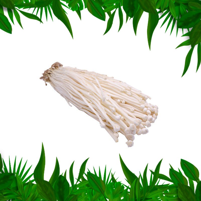 

SAYURAN FRESH NUSANTARA - Jamur Enoki 1 pack