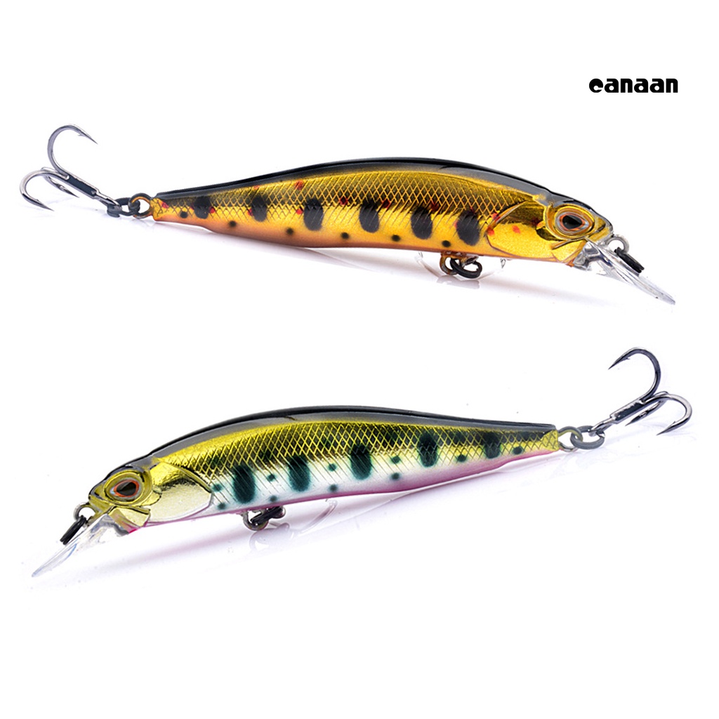 Cnn-8.4g Umpan Umpan Kait Tajam Semua Aplikasi Air Meningkatkan Tingkat Memancing Built-in Ikan Kecil Hovering Colorful Artificial Lure Outdoor Fishing