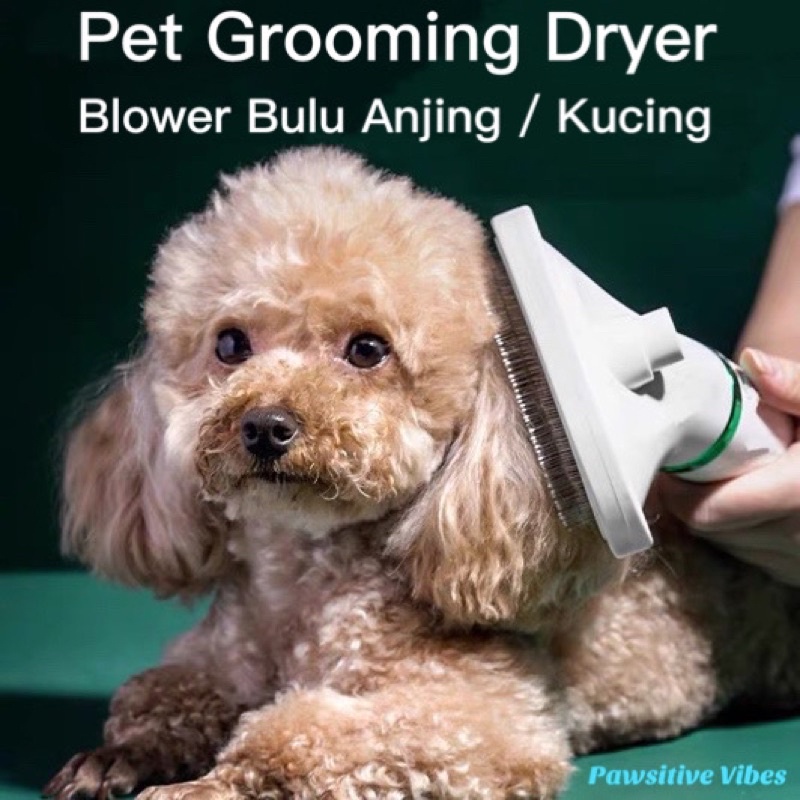 Pet Grooming Dryer - Pengering Bulu Anjing Kucing Sisir Dan Blower 2 in 1 - Hair Dryer Hewan - Hair 