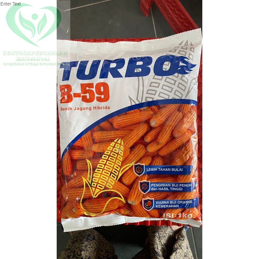 Benih Jagung Hibrida  TURBO B - 59   isi 1 kg dari SHRIRAM GENETICS