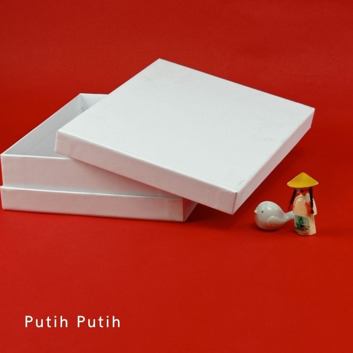 

Custom Hard Box Exclusive uk. 25 cm x 20 cm x 6 cm (Model Double Wall) - Putih-putih