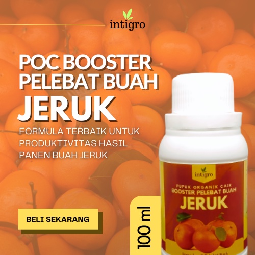 Pupuk Buah Jeruk Super Lebat / Booster Pupuk Pelebat Jeruk Santang Madu Limau Purut Nipis Lemon Bali
