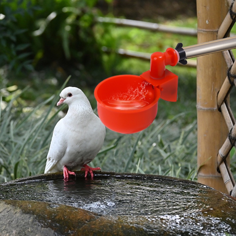 Cangkir Minum Hewan Peliharaan Anti Bocor/Mangkok Makan Ayam Puyuh Merpati/Dispenser Air Otomatis Universal/Tempat Makan Unggas Kapasitas Besar