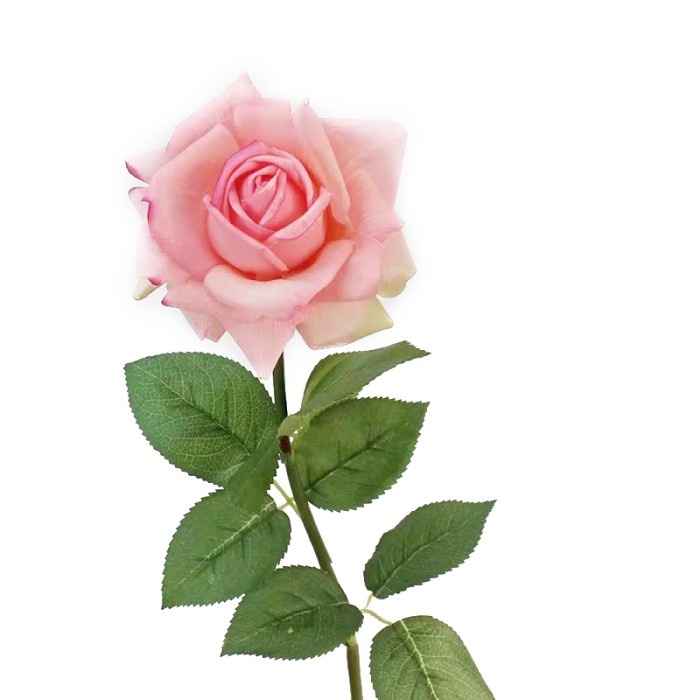 KKV Sladko Rose Austin Bunga Mawar Artifisial Bunga Palsu Tiruan - Fuschia Mix