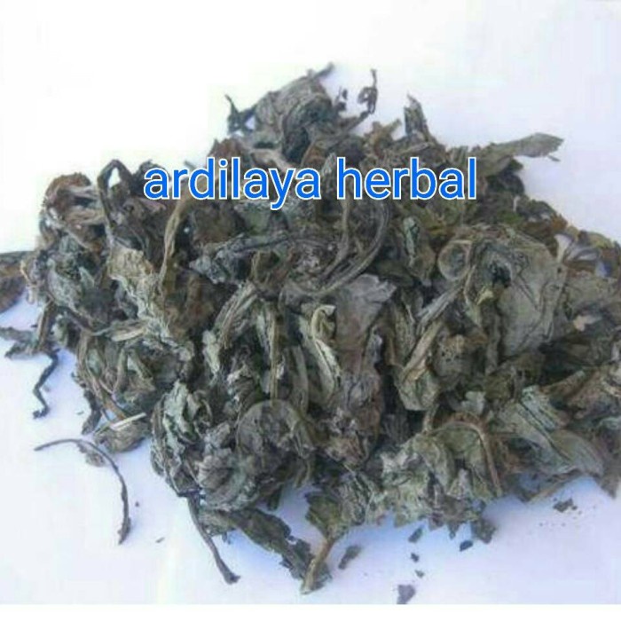 

daun tempuyung kering 1000 gr/1 kg 100% ASLI