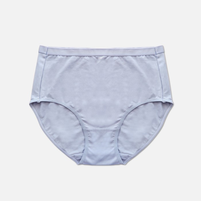 New Diskon COD Sorella Panty Flossy Brief Maxi S20-73239 - Light Grey, XXL