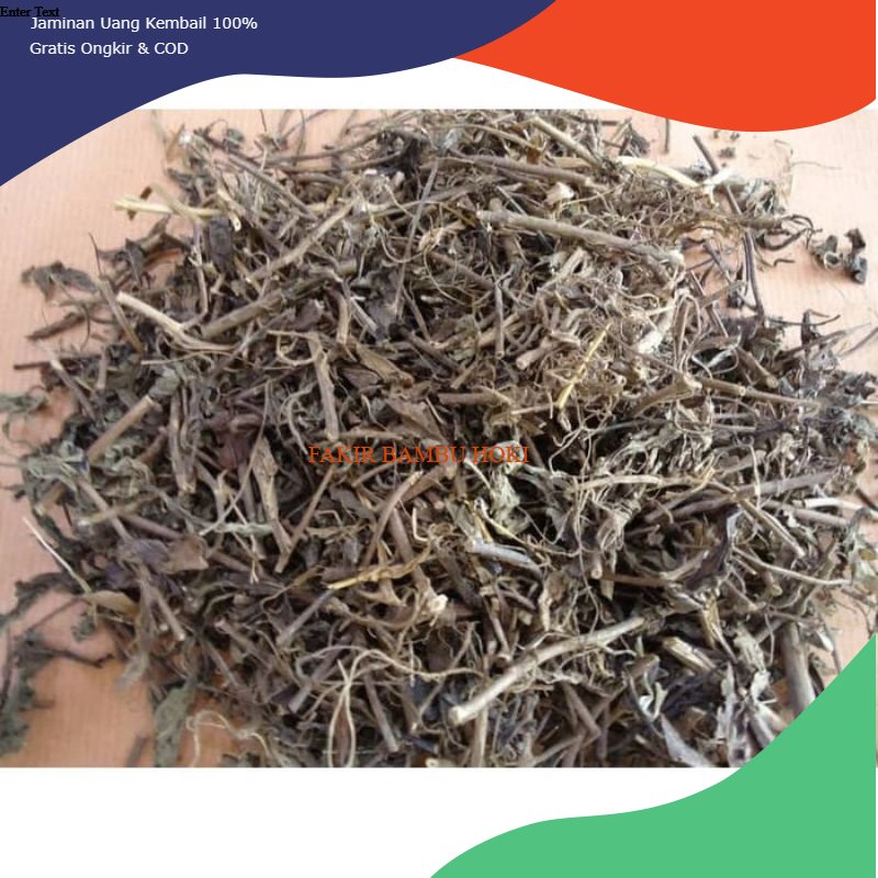 

PROMO DAUN KUMIS KUCING KERING HEEBAL OBAT SALURAN PENCERNAAN DAN BATU GINJAL MUJARAB MURAH