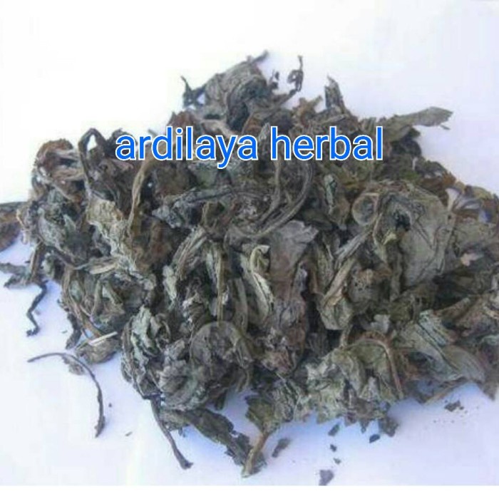 

daun tempuyung kering 250 gr 100% ASLI