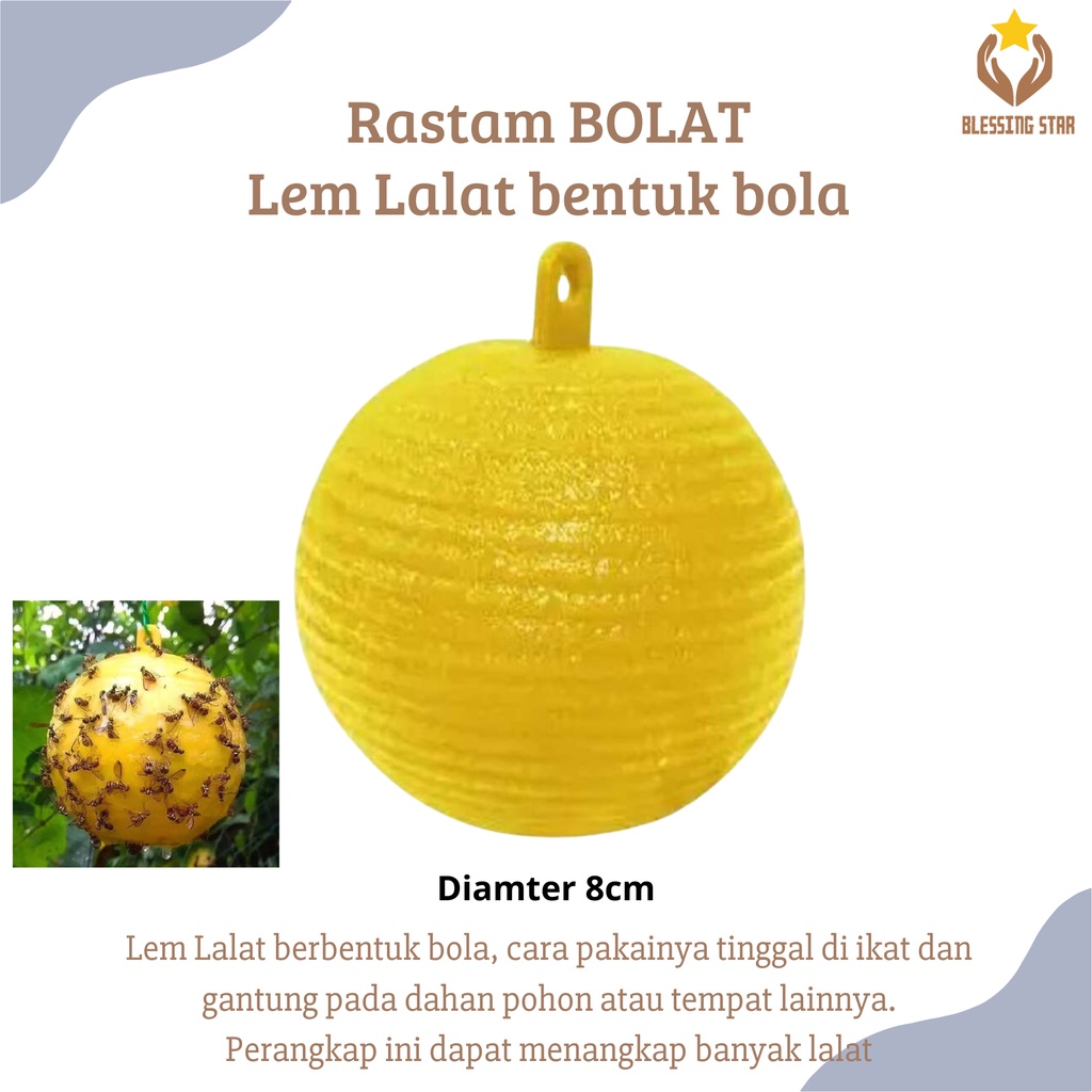 Lem Lalat Bola Rastam BOLAT Perangkap Lalat