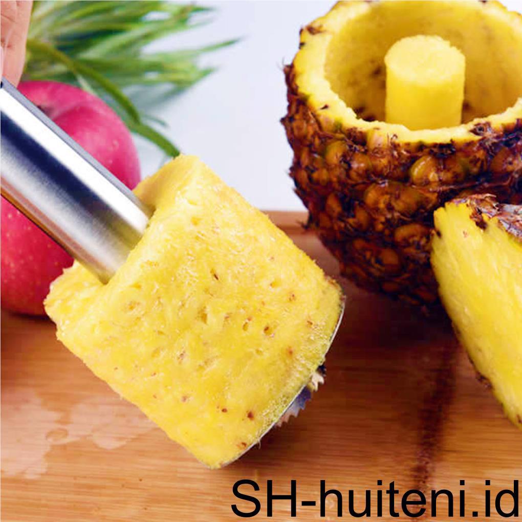 Alat Pemotong Pengiris Nanas Stainless Steel Gadget Dapur Pengupas Buah Corer Slicer Kitchen Tools