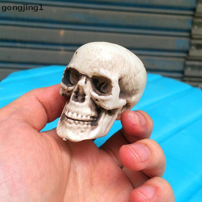 Ggg Halloween Kepala Tengkorak Buatan Model Tengkorak Bone Horror Mengerikan Tengkorak Ornamen ID