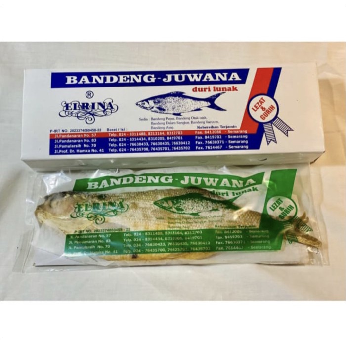 

Makanan | Bandeng Juwana duri lunak (1 Box = 1kg = isi 5 Pcs Ikan)