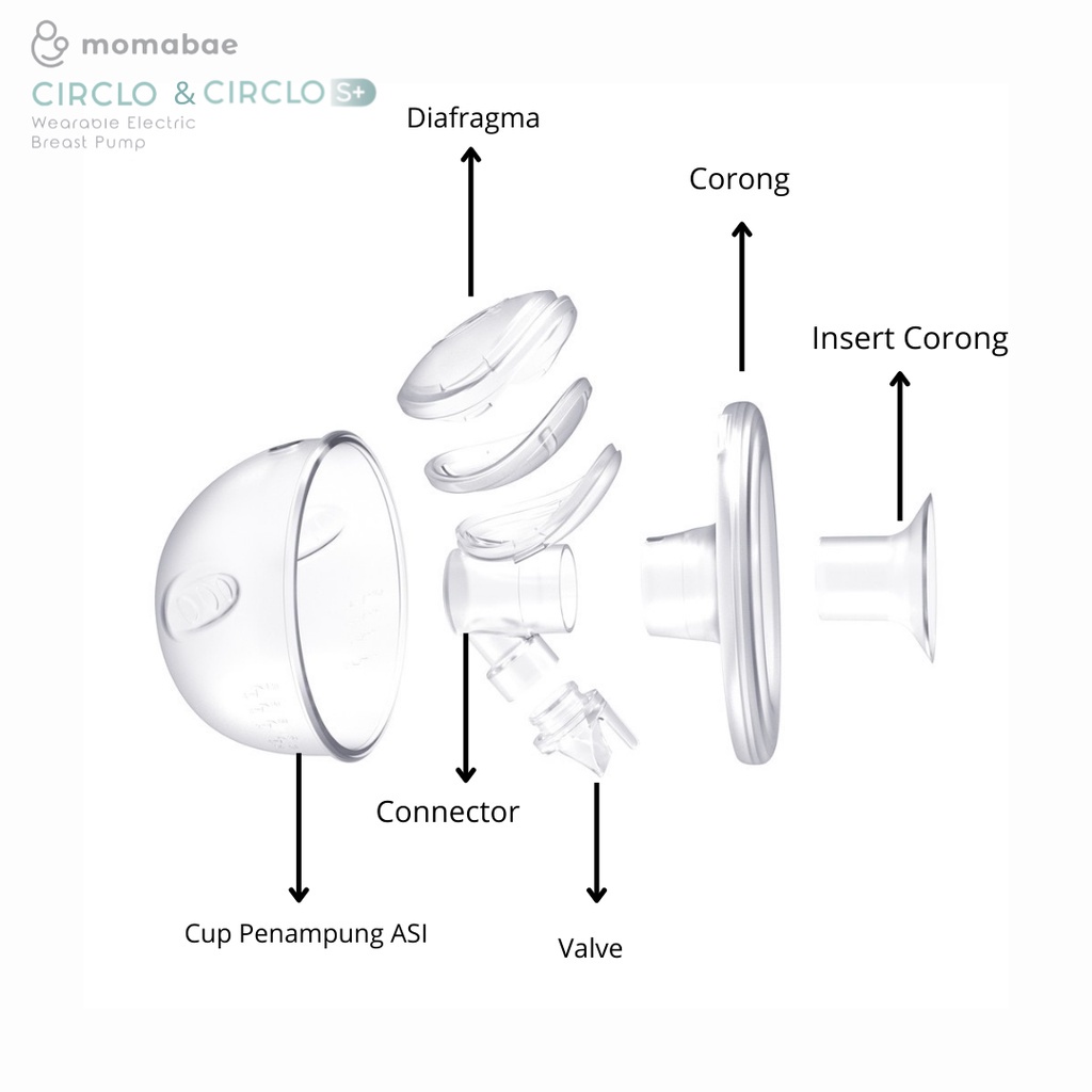 MOMABAE - SPAREPARTS Suku Cadang Pompa ASI  CIRCLO &amp; S+