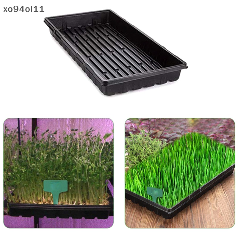 Xo Nampan Tanam Plastik Seedling Starter s Pembibitan Pembibitan Tanaman OL