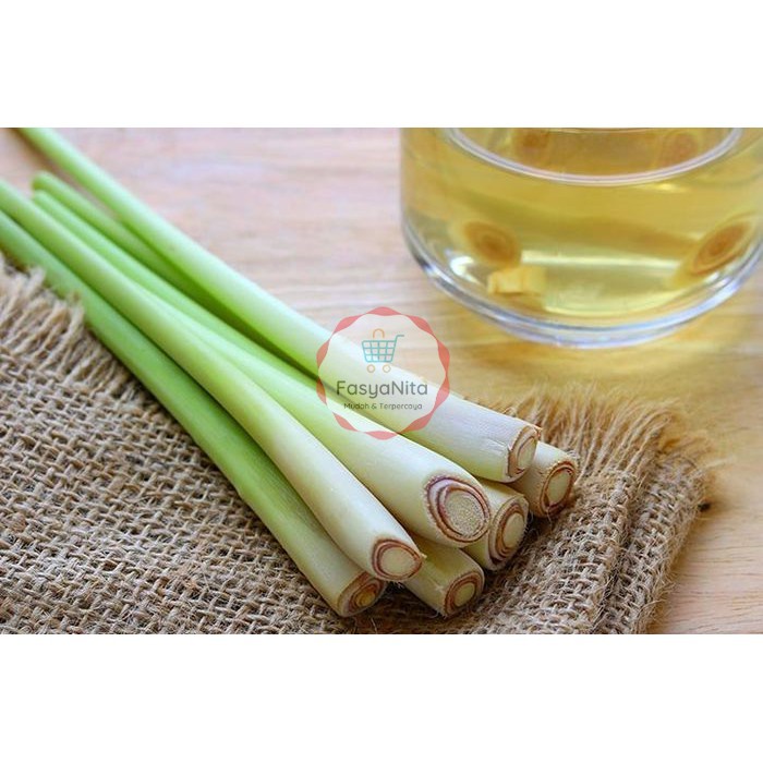 

Batang Serai Bumbu Dapur Rempah Masak Enak Denpasar