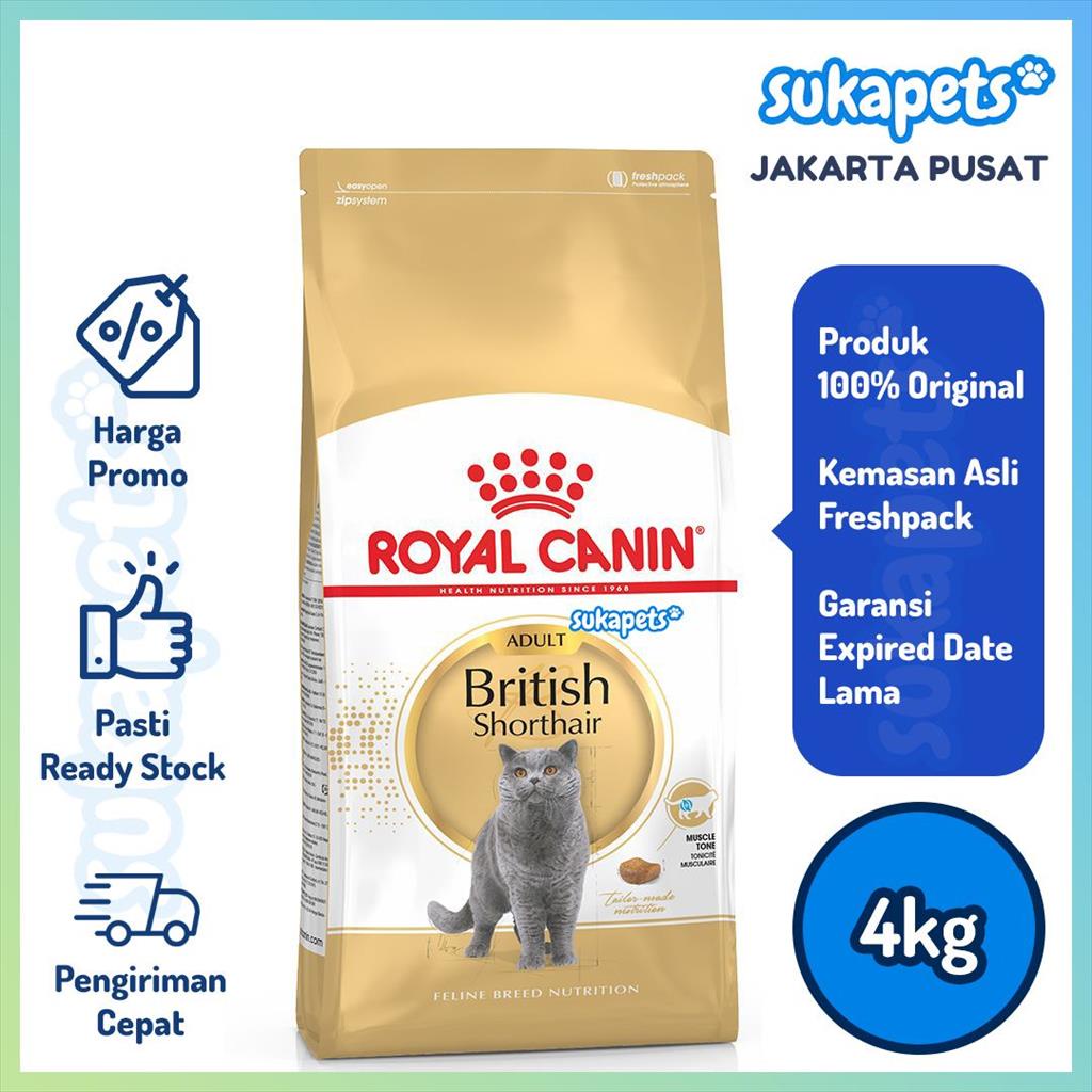 Royal Canin Adult British Shorthair Makanan Kucing Dewasa Dry 4kg
