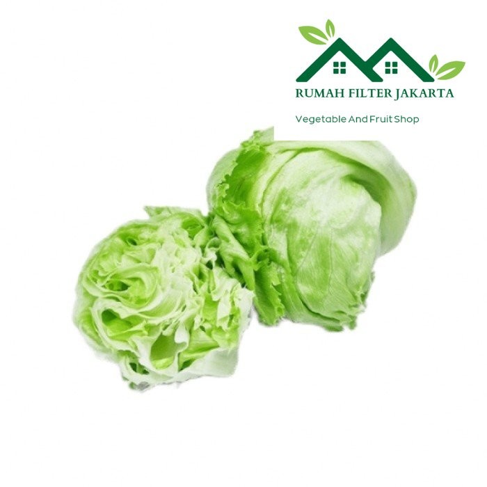 

Ceciwis / Keciwis / Cuciwis / Head Lettuce / Baby Kol 500gr