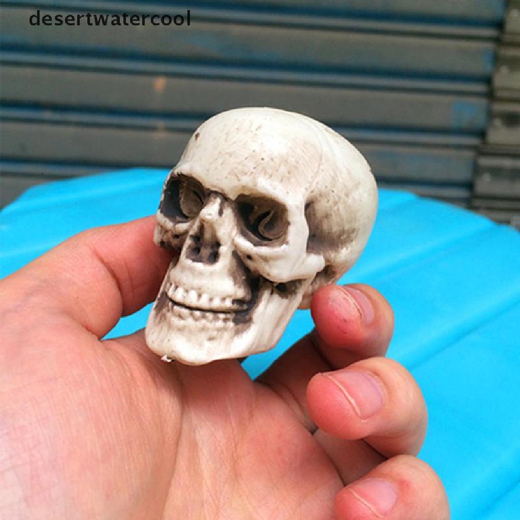 Deid Halloween Kepala Tengkorak Buatan Model Tengkorak Tulang Mengerikan Horror Tengkorak Ornamen Martijn