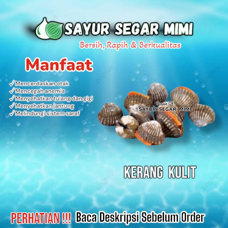 

Kerang Kulit - Sᴀʏᴜʀ Sᴇɢᴀʀ ♏ɪᴍɪ