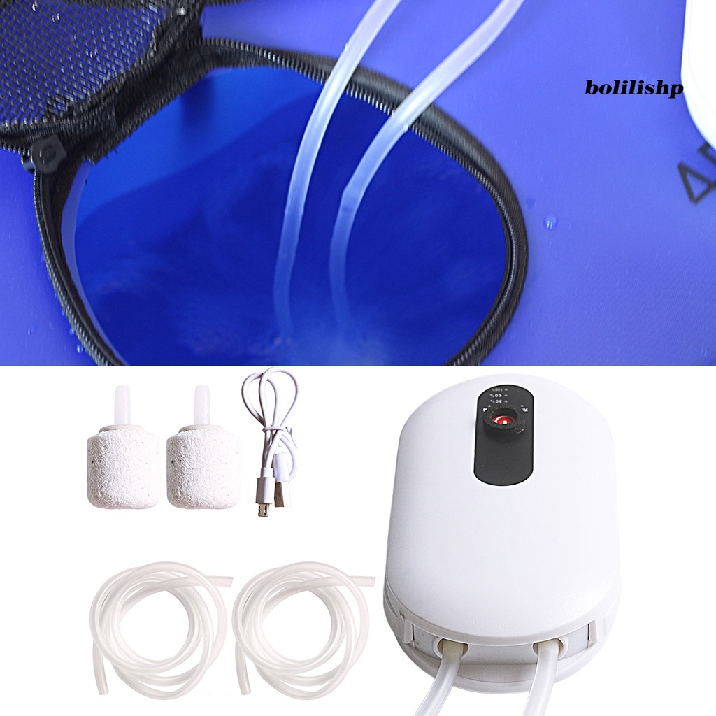 Bo-1 Set Pompa Oksigen Shockproof Noise Reduction ABS Teknik Plastik AC/DC Dual-use Double Tube Oxygen Pump Untuk Rumah