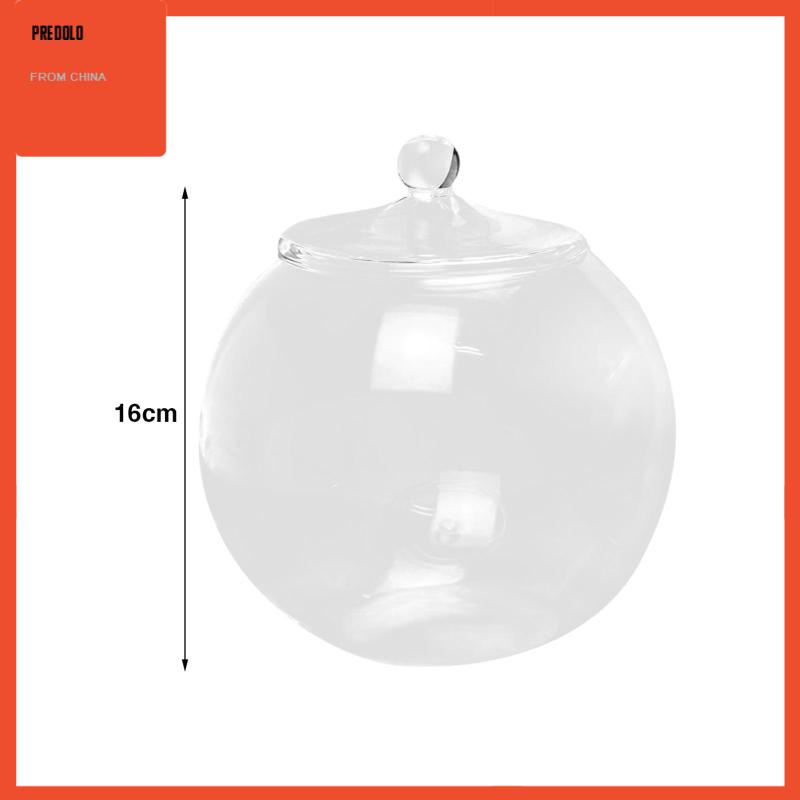 [Predolo] Planter Jar Sealed Storage Jar Terrarium Kaca Hias Untuk Gula Teh