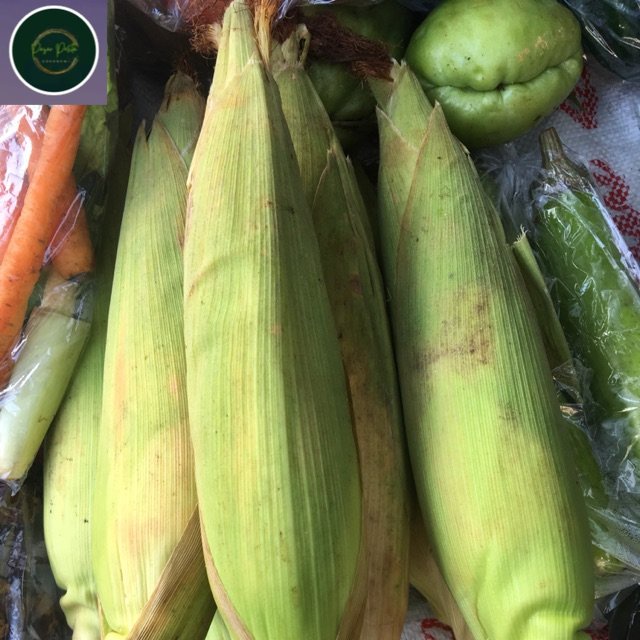 

Jagung manis per-biji