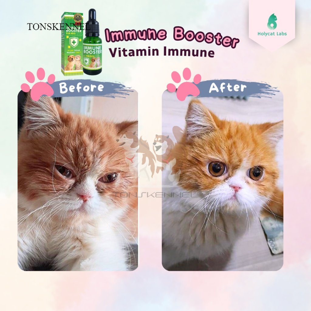 Vitamin Imun Kucing Anjing Menjaga Stamina Anti Virus Stress Immune Booster Tetes 20 ML