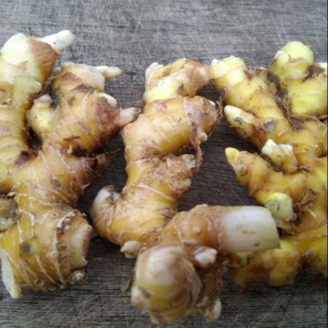 

(COD) Lempuyang segar sudah dicuci bersih 500 gram