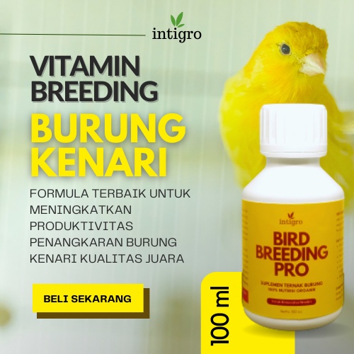 ( Bos_Organik ) Vitamin Breding Burung Kenari Breeding / Vitamin Obat Ternak Burung Kenari / Vitamin