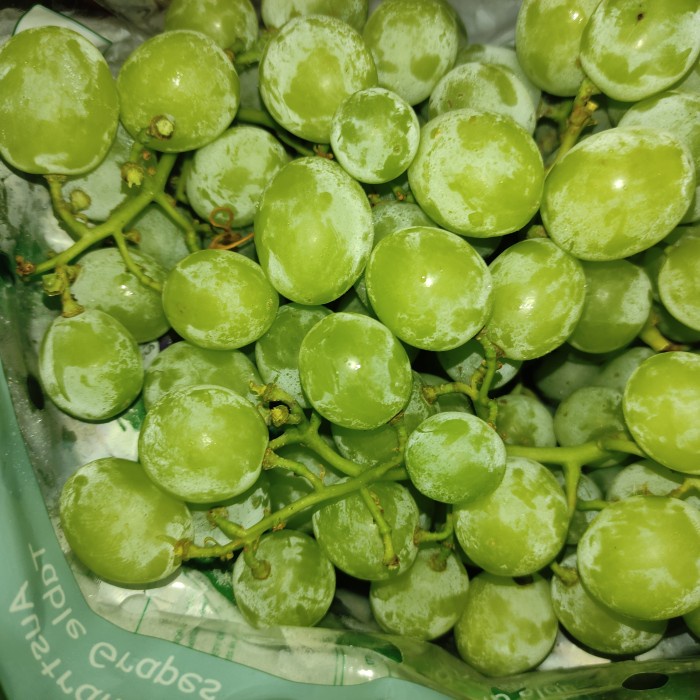 

✨NEW✨ -Anggur Hijau Australia Seedless 1 kg / 1 dus - Australia 500g- 2.2.23