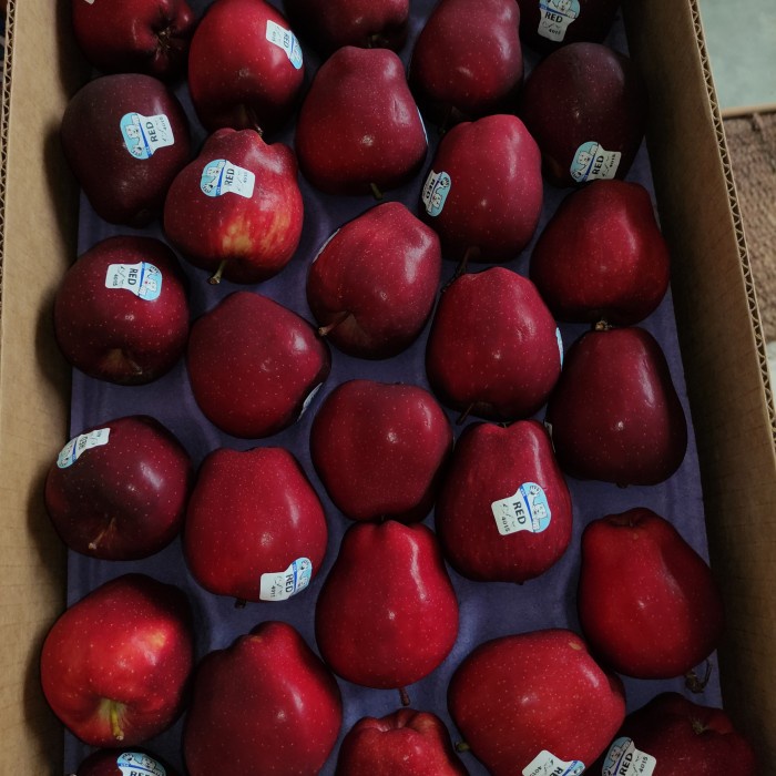 

✨NEW✨ -Buah Apel Red Delicious Red del USA Washington 1kg Manis Fresh Premium - 9 butir +-1kg- 2.2.23