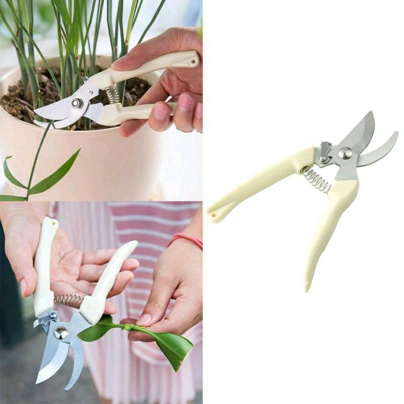 Gunting Dahan Ranting Pruning Alat Potong Dahan Ranting Stek Pruning Shears