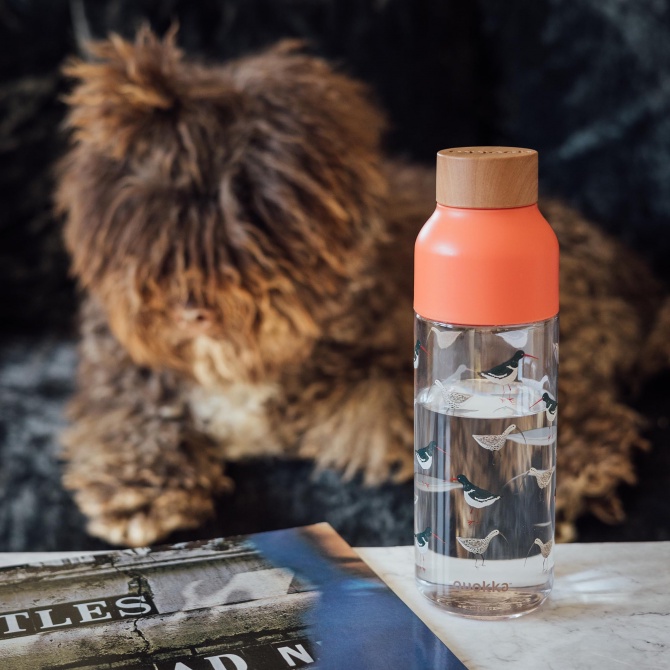 Quokka Ecozen Bottle Ice 720ml | Botol Minum Anak