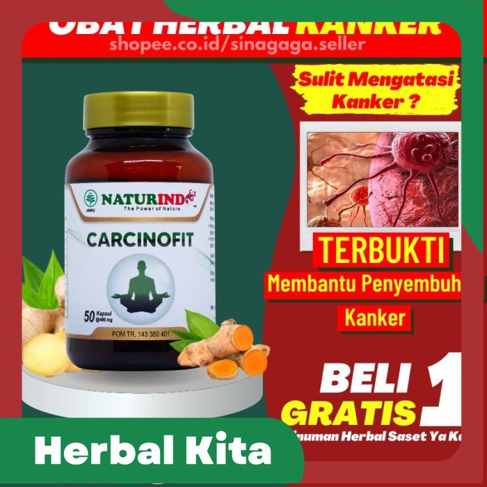

Obat Herbal Kanker Payudara Serviks Prostat Ampuh Carcinofit Naturindo - Carcinofit