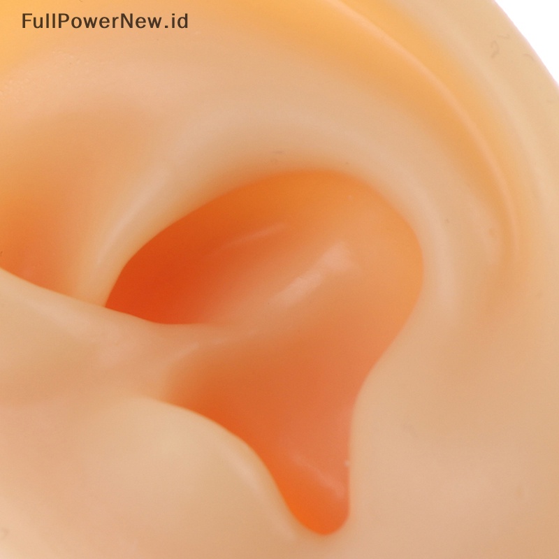 Power 1X Alat Latihan Model Telinga Silikon Ear Stud Display Alat Perhiasan Tubuh ID