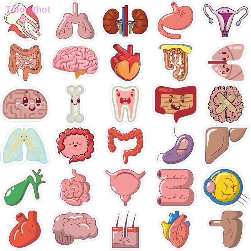 Tolonghot&gt; 50 Pcs Kartun Tubuh Organ Graffiti Stiker Gitar Koper Laptop Decal DIY Diary Telepon Notebook Album Kulkas Stiker Hadiah Dengan Baik