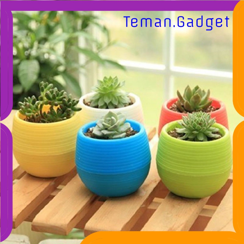 TG -  ART Mini Pot Bunga Hias Kaktus Tanaman - 5pcs