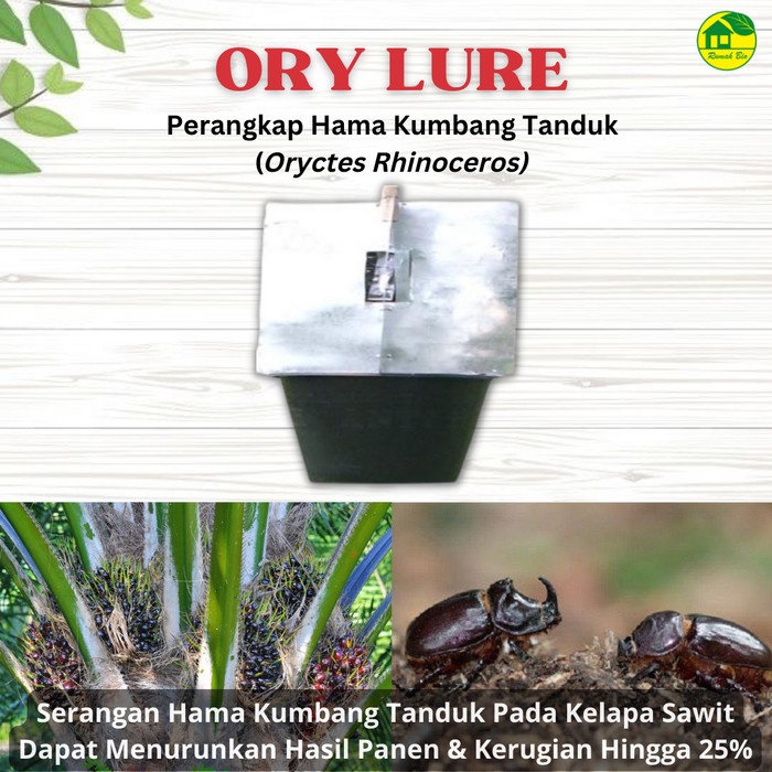 [CO] ORY LURE - PERANGKAP FEROMON HAMA KUMBANG TANDUK ORYCTES RHINOCEROS - PERANGKAP Saja