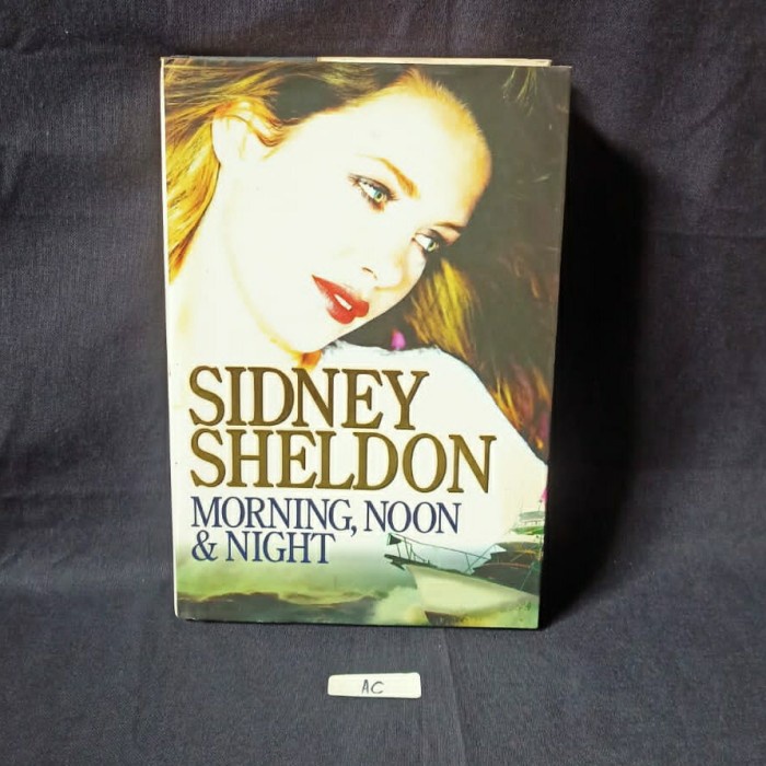 SIDNEY SHELDON MORNING NOON AND NIGHT