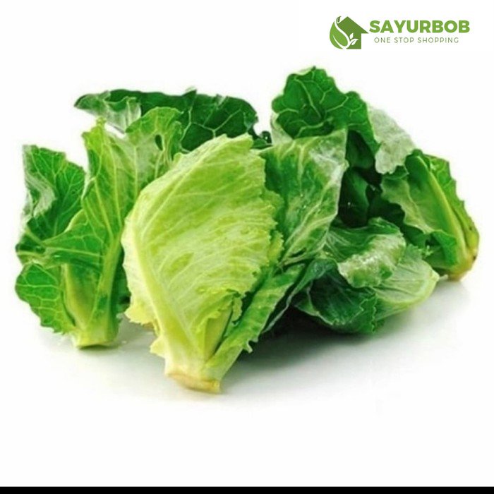 

Ceciwis Ciwis Keciwis Comeo 500gr SayurBob