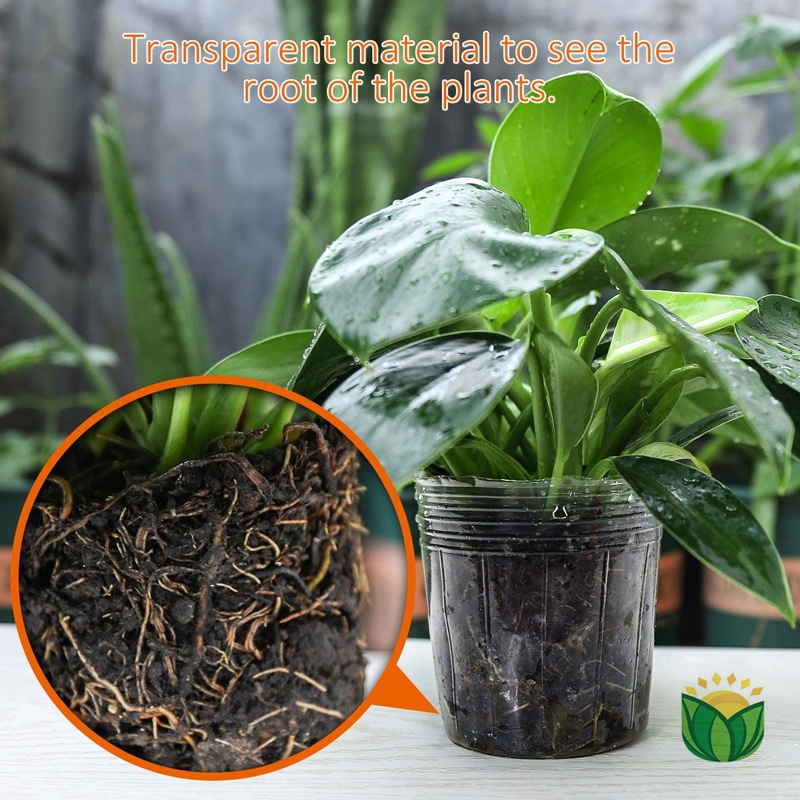 Pot Anggrek / Soft pot anggrek / Fleksibel cup- Rosebunga