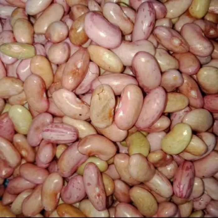 

Kacang merah 250 gr