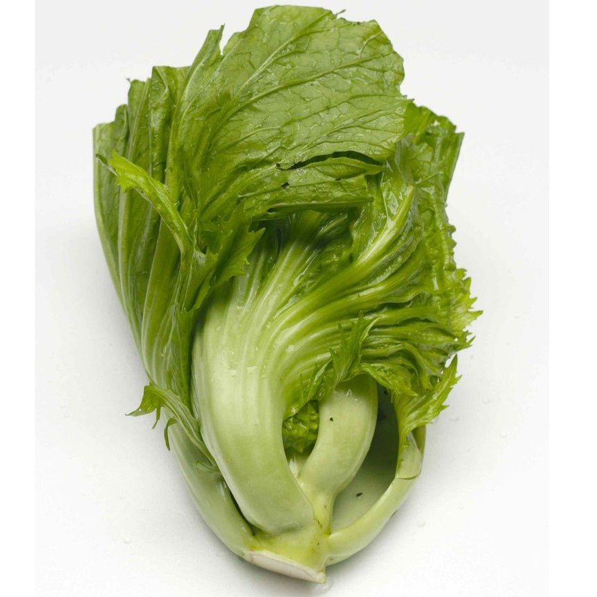 

FCW Jakbar - Sawi Pahit 1 KG