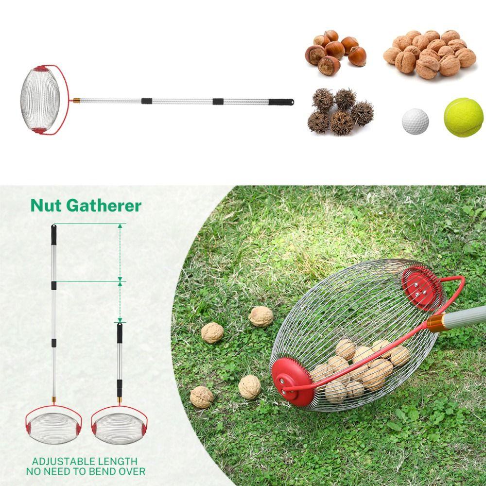 LANFY Ball Collector Chestnut Acorn Multifungsi Retractable Picker Collector Chestnut Collector Outdoor Alat Manual Nut Kumpulkan Rolling Fruit Picker Ball Picker