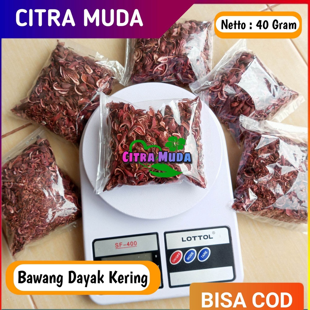 

Bawang Dayak kering 40gram paket Hemat