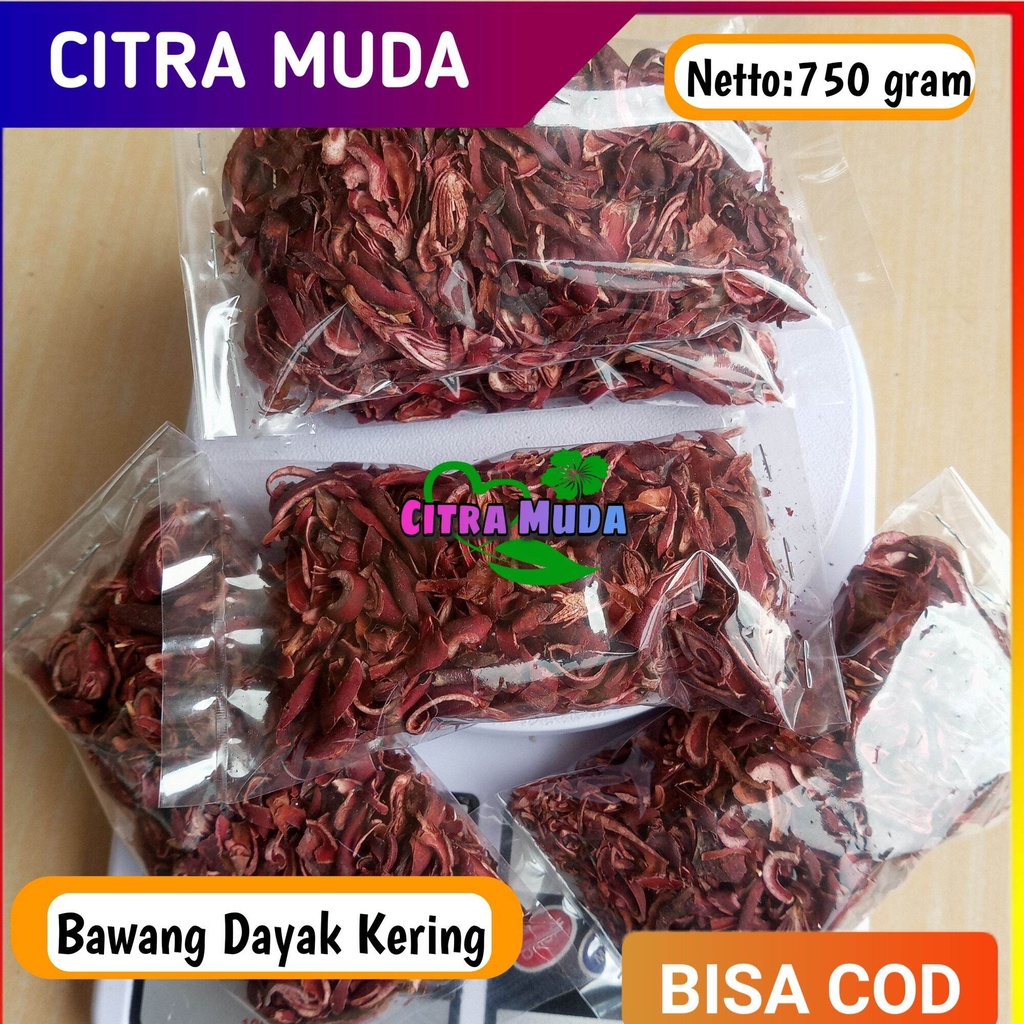 

Bawang Dayak Kering 750 gram Organik premium