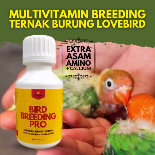 *MBS* Vitamin Ternak Burung Lovebird / Obat Breeding Lovebird Cepat Birahi / Vitamin Ternak Lovebird