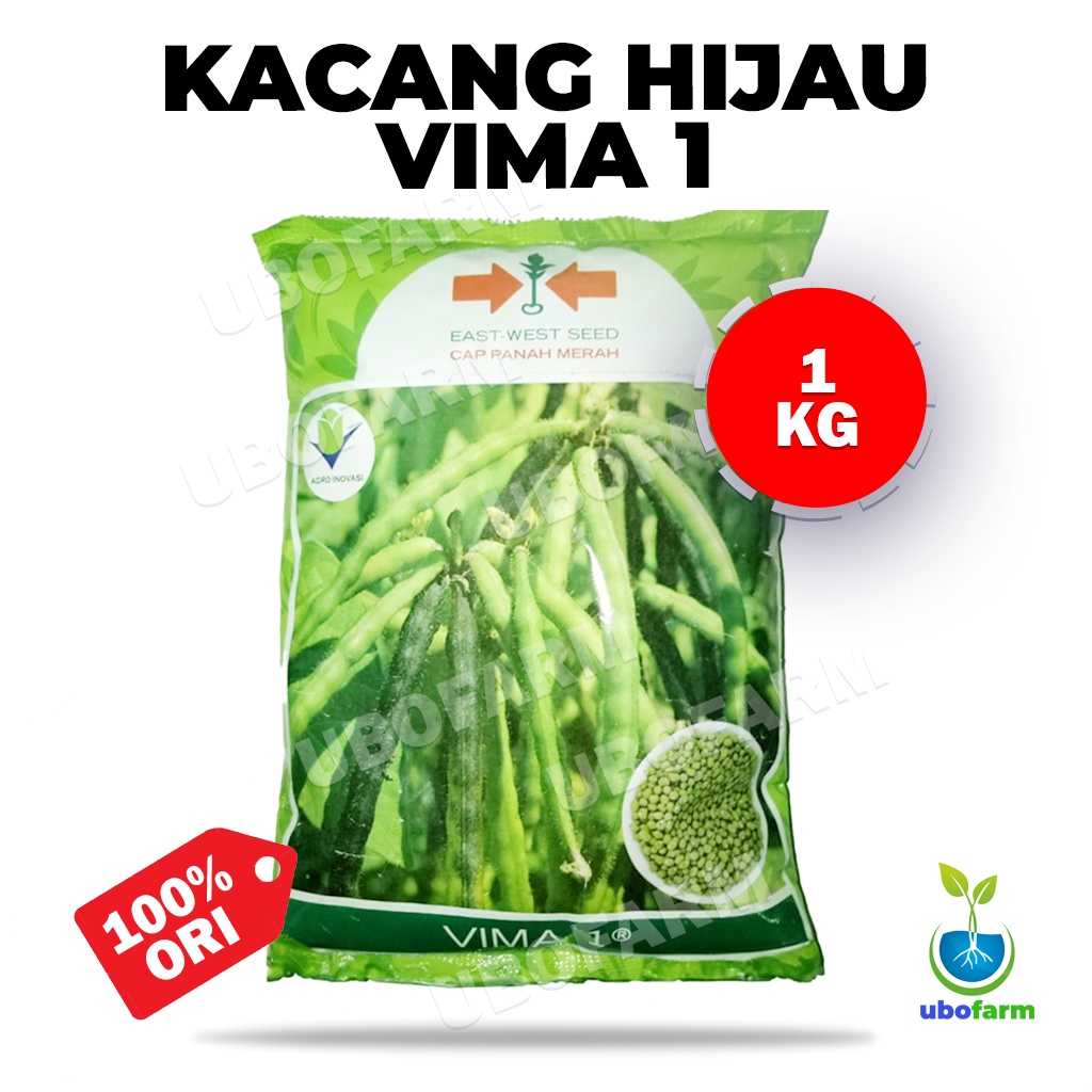 BESAR Benih Kacang Hijau Vima 1 Cap Panah Merah isi 1 KG