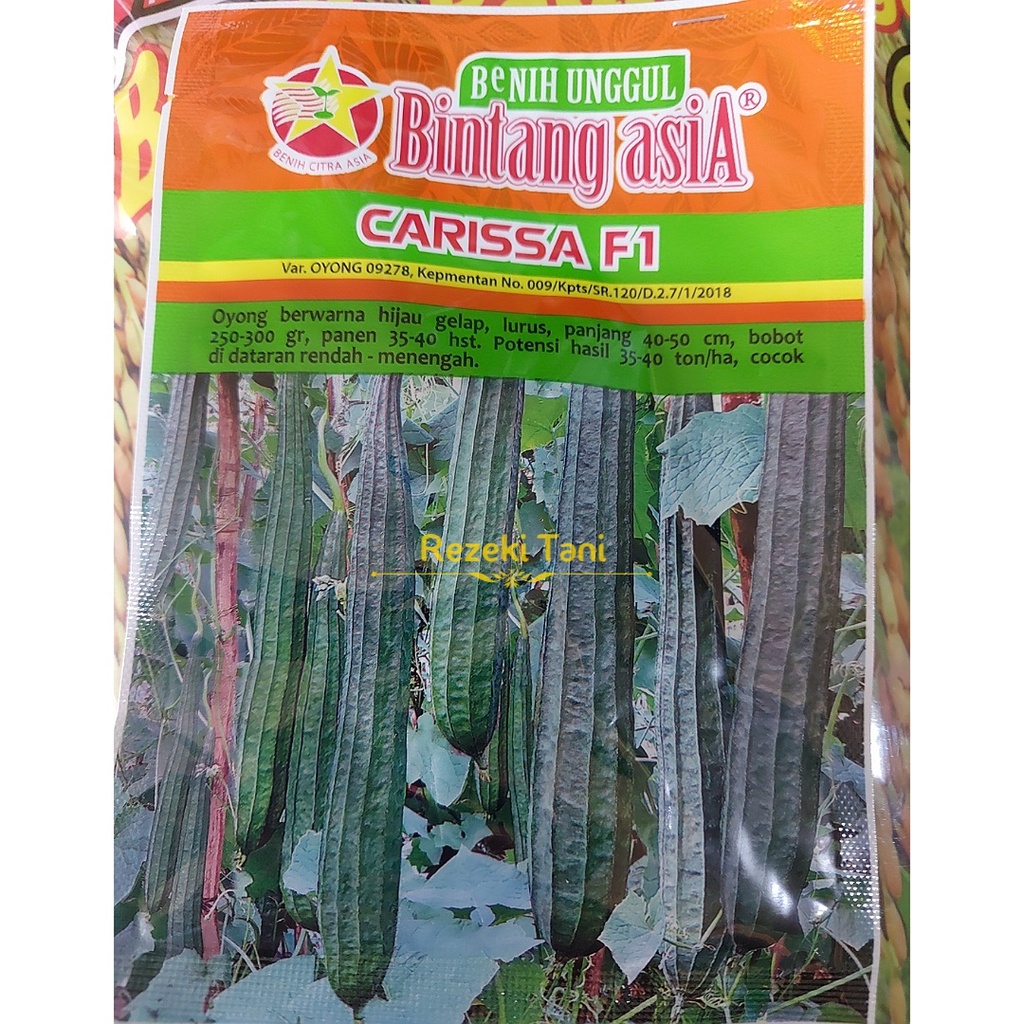 Benih Gambas Oyong Carissa F1 10 gram Bintang Asia