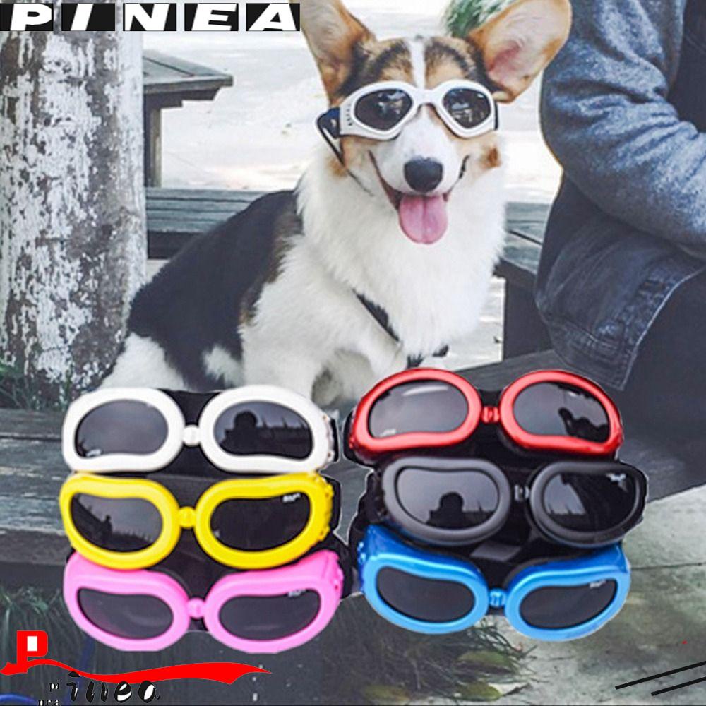 Kacamata Anjing Nanas Perlengkapan Hewan Peliharaan Mode Tahan Air Perlindungan Memakai Mata Foto Props Refleksi Eye Wear Glasses